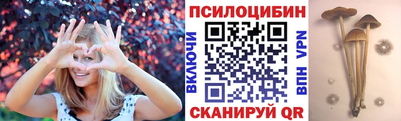 купить наркотик  Сухой Лог  Псилоцибиновые грибы MAGIC MUSHROOMS 