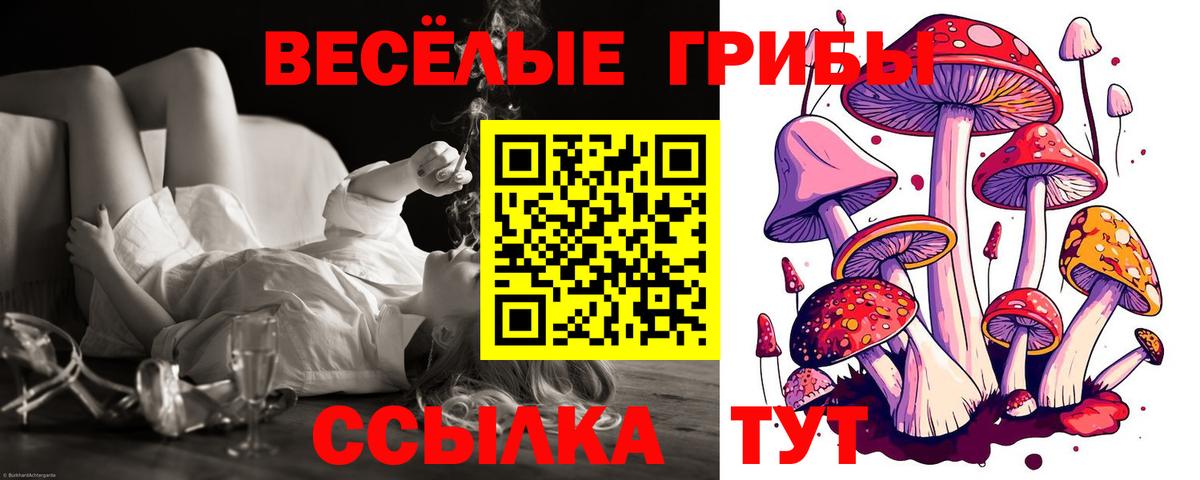 Псилоцибиновые грибы Magic Shrooms  Вход с VPN  Сухой Лог  Галлюциногенные грибы GOLDEN TEACHER 