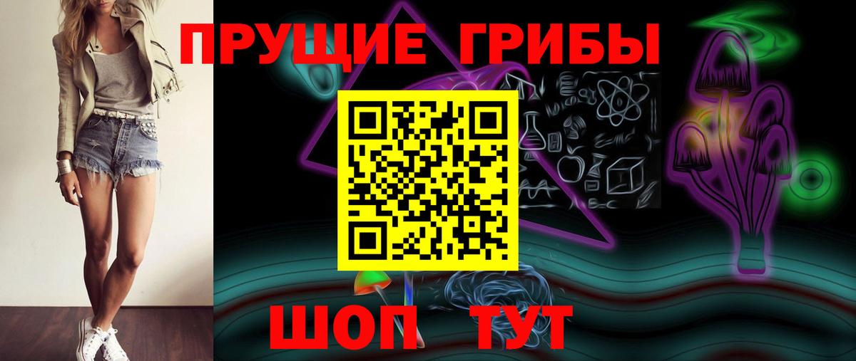 Псилоцибиновые грибы GOLDEN TEACHER Сухой Лог
